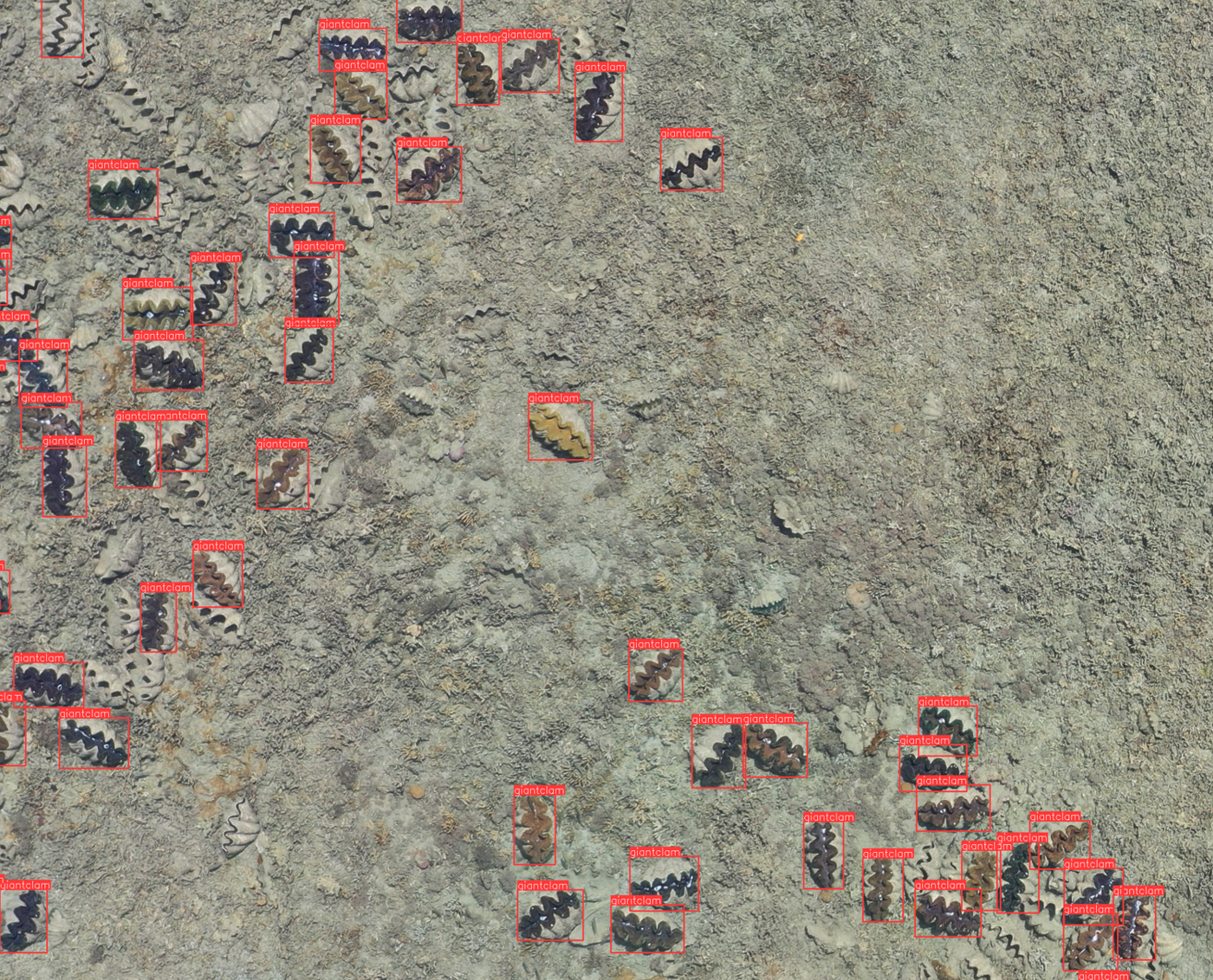 Object Detection Example